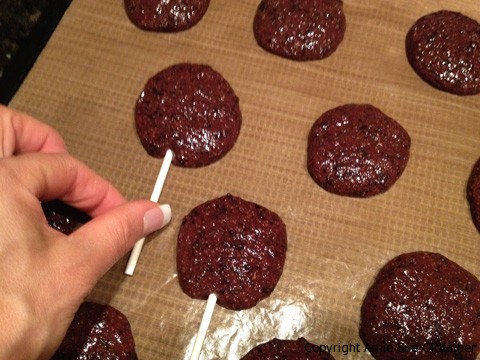 Chocolate-covered-Blueberry-Leather