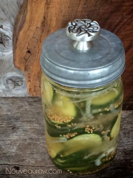 Raw-Sweet-Bread-and-Butter-Overnight-Pickles33