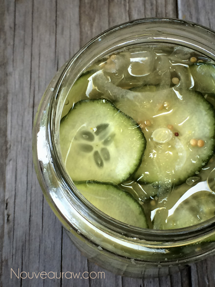 Raw-Sweet-Bread-and-Butter-Overnight-Pickles67