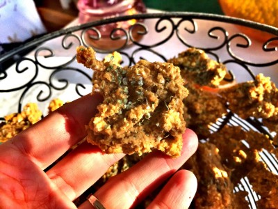 IMG_9029-e1484643116227