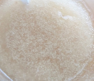 62131264_870383053342209_1720090898324258816_n 2