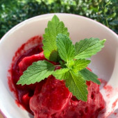 raw sorbet zmrzlina
