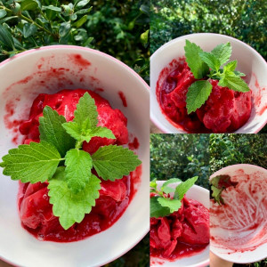 raw zmrzlina lahodnosti