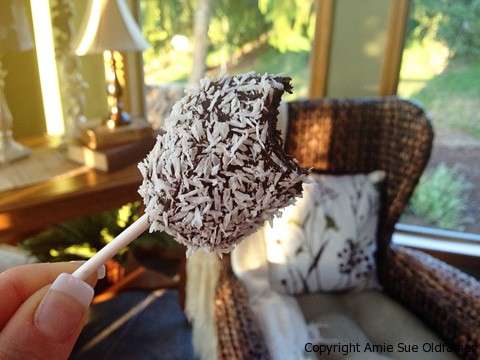 Chocolate-covered-Blueberry-Leather11