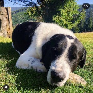 15449CE5-3C66-4A29-A13E-40FB9713AF81