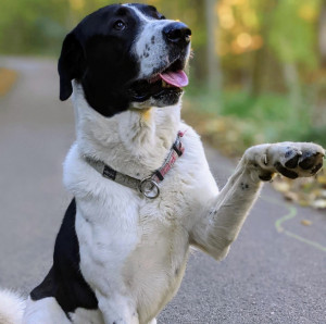 1882E3B9-B44E-4745-8128-FC28413539D2