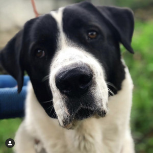 2E355DCE-A2E8-4435-925E-D4AA0155C424