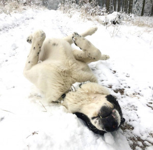 42EA67D4-F2A8-4B30-9C01-A5FA79F32AFE