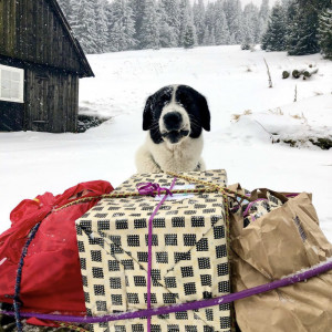 6A076F3F-D641-40CE-B141-EBA98CE58DA1