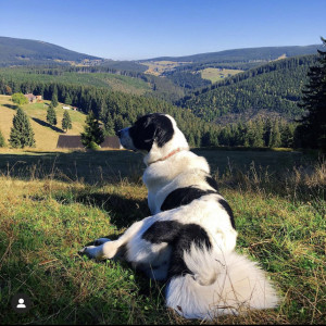 8844463C-5399-48E2-B9EA-409452917CA3