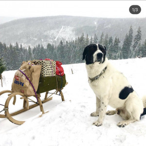 92398580-9799-40A2-B110-E6BB357F4FD2