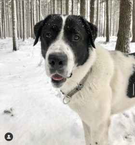 ED01F388-BCC8-473F-8E07-6CB248935E81