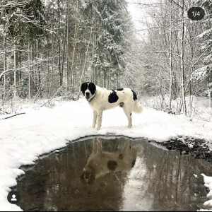 F1DF534F-0717-4C6E-A840-9B19D69CABDE