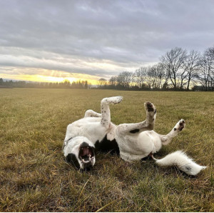 3A442561-7BC9-4E57-8B77-166FADD20A2D